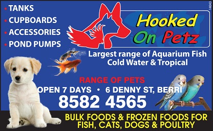 banner image for Hooked On Petz