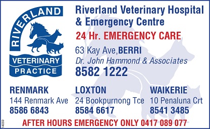 banner image for Riverland Veterinary Practice