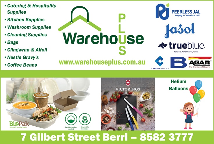 logo image for Warehouse Plus