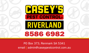 business title image